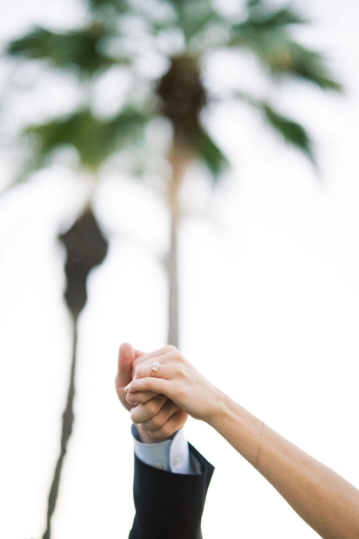 engagement ring and palm tree